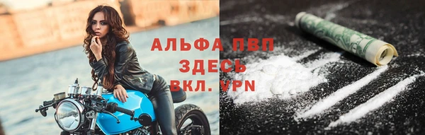 прущие грибы Зерноград