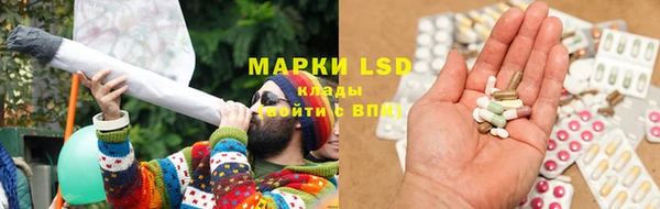 прущие грибы Зерноград