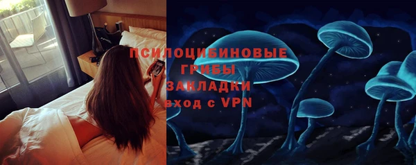 дживик Зеленодольск