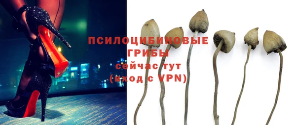 дживик Зеленодольск