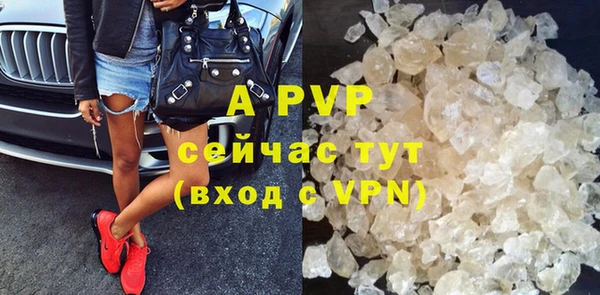 крисы Зеленокумск