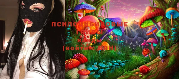 крисы Зеленокумск