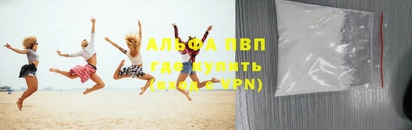 прущие грибы Зерноград