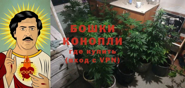 крисы Зеленокумск