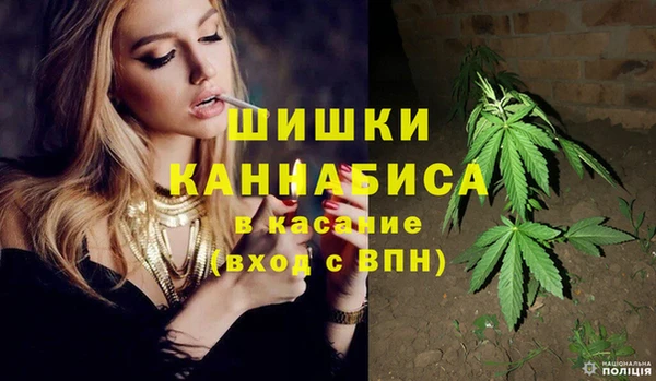 крисы Зеленокумск