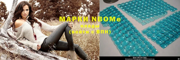 прущие грибы Зерноград