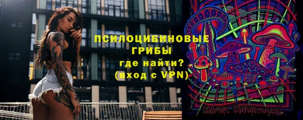 дживик Зеленодольск