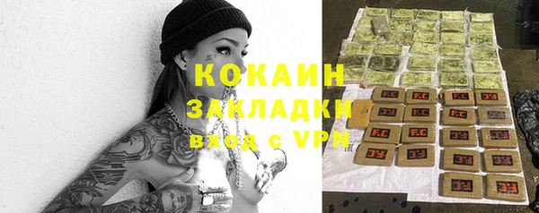 прущие грибы Зерноград