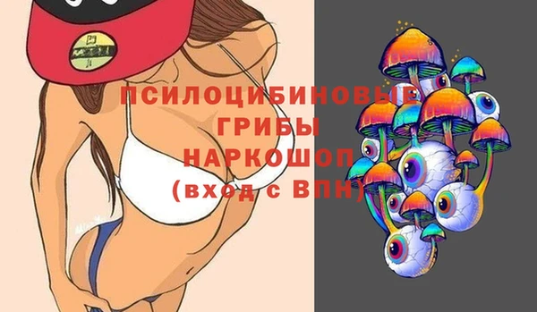 прущие грибы Зерноград