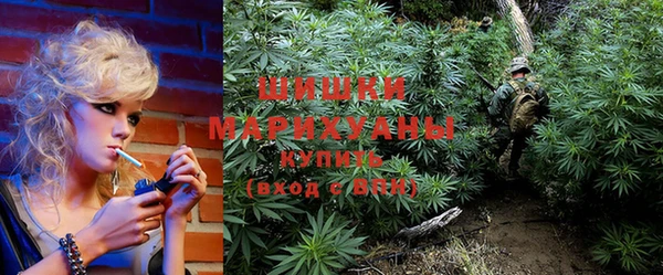 прущие грибы Зерноград