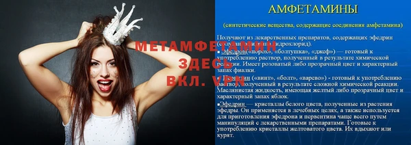 прущие грибы Зерноград