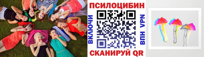 Галлюциногенные грибы Cubensis Купить закладки Саки
